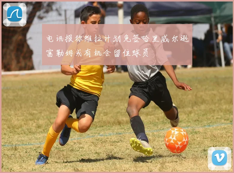 电讯报称维拉计划免签哈里威尔逊富勒姆或有机会留住球员